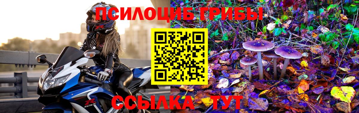 Кольчугино  Псилоцибиновые грибы мухоморы  Вход с VPN 