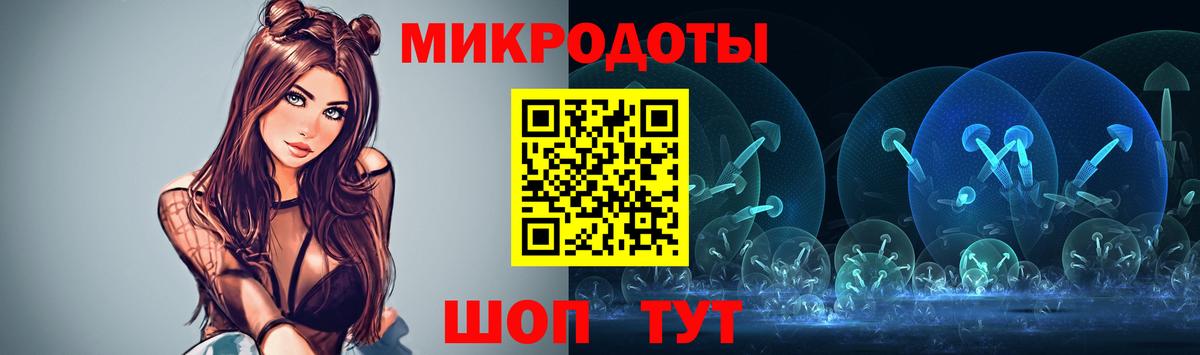 Псилоцибиновые грибы Cubensis Кольчугино